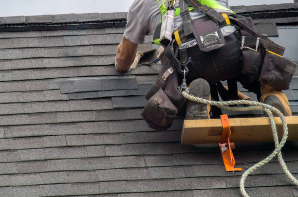 Professional Roofing Contractor in Robins Af, GA